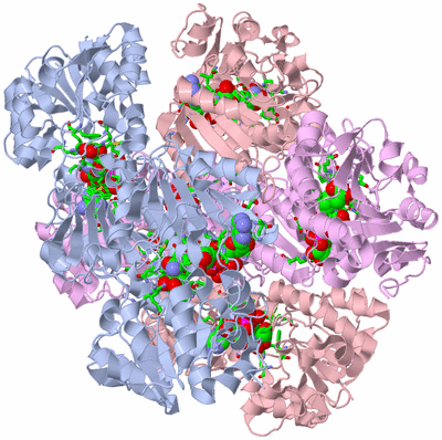 Image Biol. Unit 1 - sites