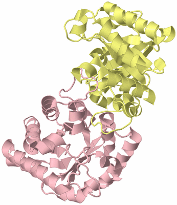 Image Biological Unit 2