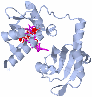 Image Biological Unit 1