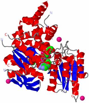 Image Asym./Biol. Unit