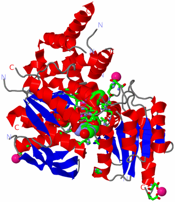 Image Asym./Biol. Unit - sites