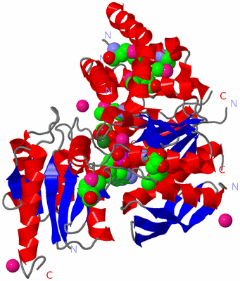 Image Asym./Biol. Unit