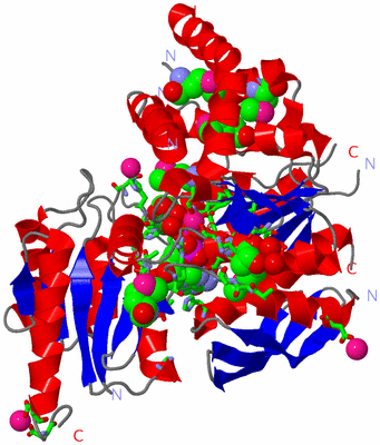 Image Asym./Biol. Unit - sites