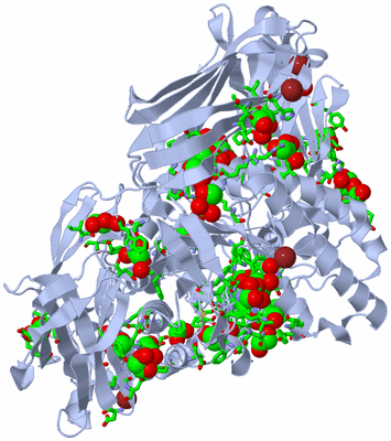 Image Biol. Unit 1 - sites