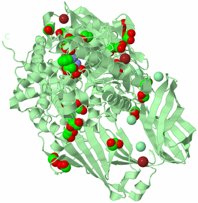 Image Biological Unit 2