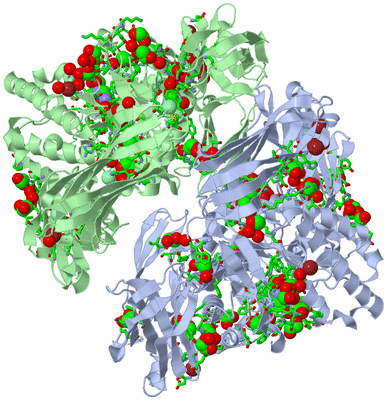 Image Asym. Unit - sites