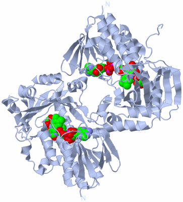 Image Biological Unit 1