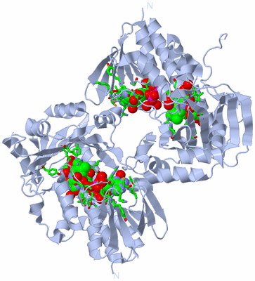 Image Biol. Unit 1 - sites