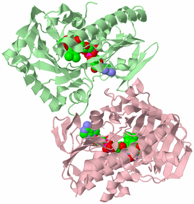 Image Biological Unit 2