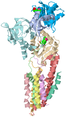 Image Asym./Biol. Unit