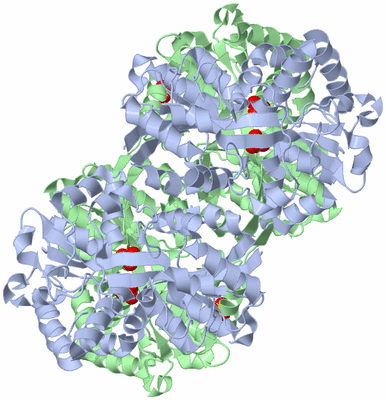 Image Biological Unit 1