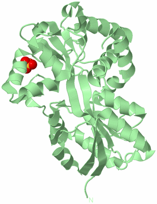 Image Biological Unit 3