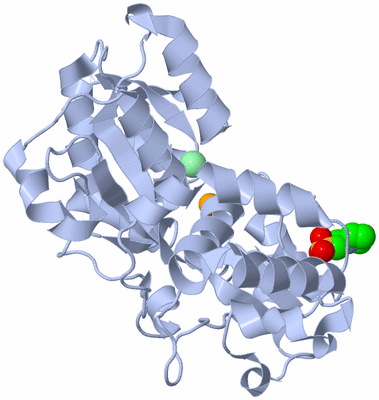 Image Biological Unit 1