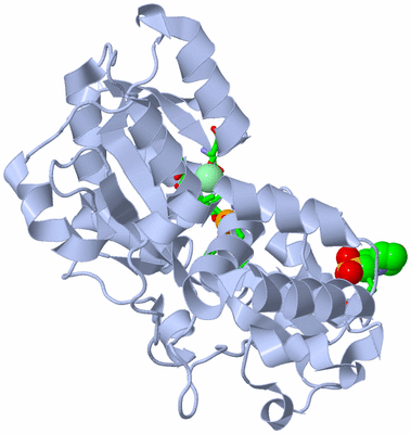 Image Biol. Unit 1 - sites