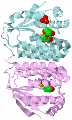 Image Biological Unit 3