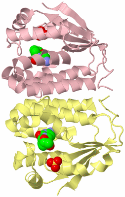 Image Biological Unit 2