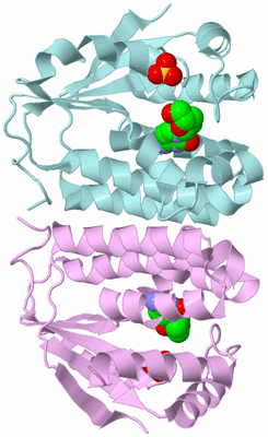 Image Biological Unit 3
