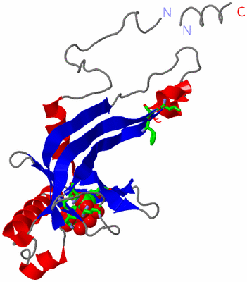 Image Asym. Unit - sites