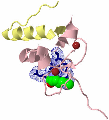 Image Biological Unit 2