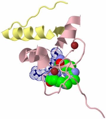 Image Biological Unit 2