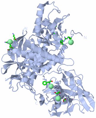 Image Biol. Unit 1 - sites