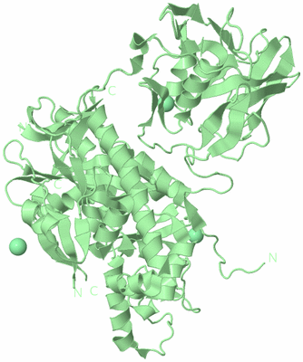 Image Biological Unit 2