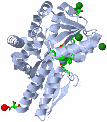 Image Biol. Unit 1 - sites