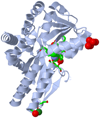 Image Biol. Unit 1 - sites