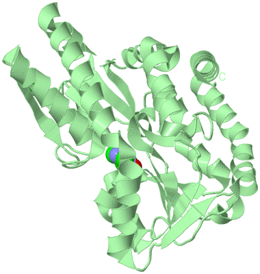 Image Biological Unit 2