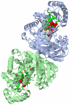 Image Asym./Biol. Unit - sites