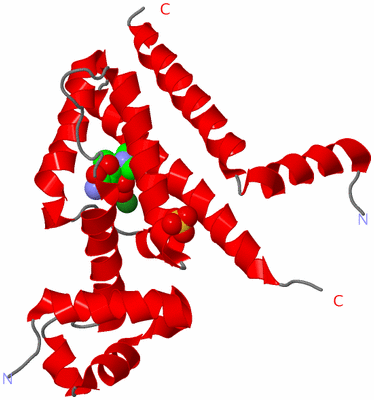 Image Asymmetric Unit