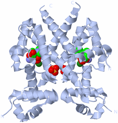 Image Biological Unit 1