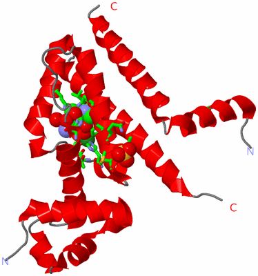 Image Asym. Unit - sites