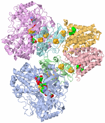 Image Asym./Biol. Unit