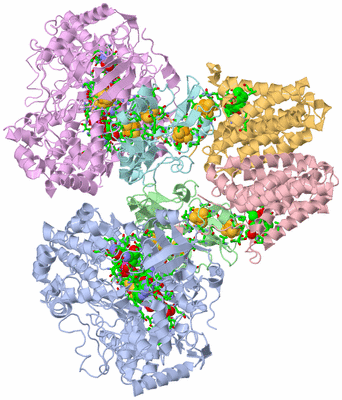 Image Asym./Biol. Unit - sites