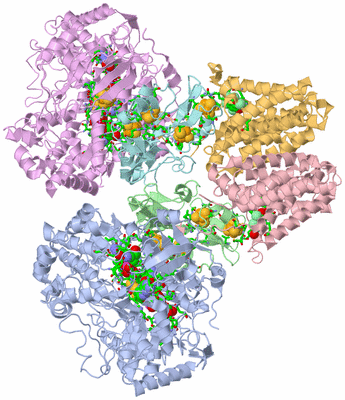 Image Asym./Biol. Unit - sites