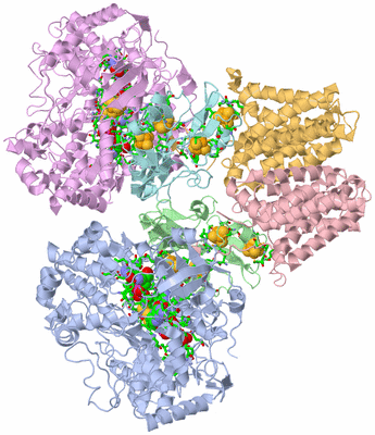 Image Asym./Biol. Unit - sites