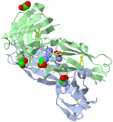 Image Biological Unit 1