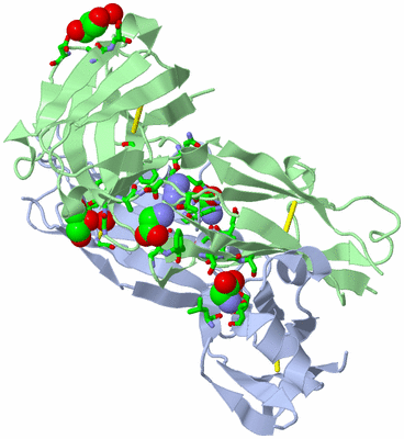 Image Biol. Unit 1 - sites