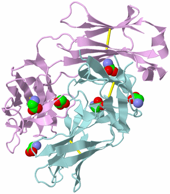 Image Biological Unit 2