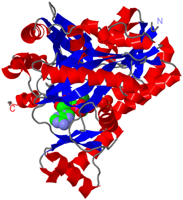 Image Asym./Biol. Unit