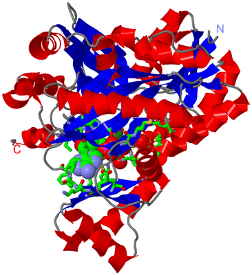 Image Asym./Biol. Unit - sites