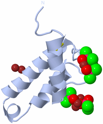 Image Biological Unit 1