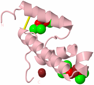 Image Biological Unit 3