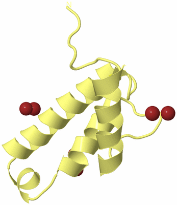 Image Biological Unit 4