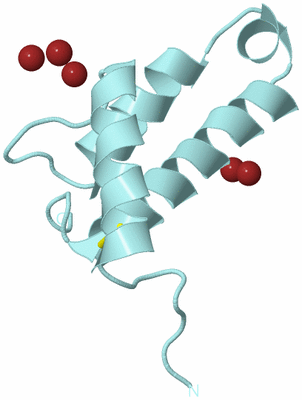 Image Biological Unit 6