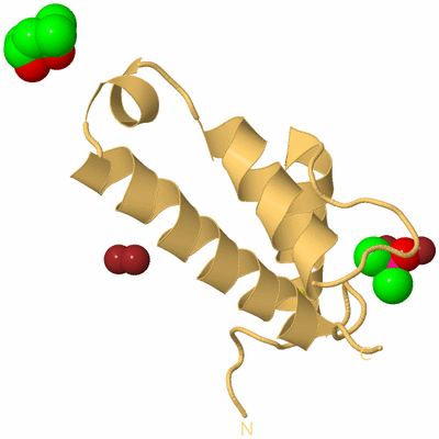 Image Biological Unit 7