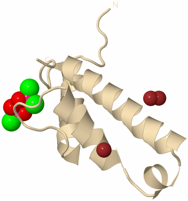 Image Biological Unit 9