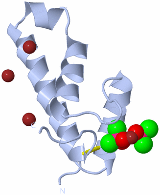 Image Biological Unit 1