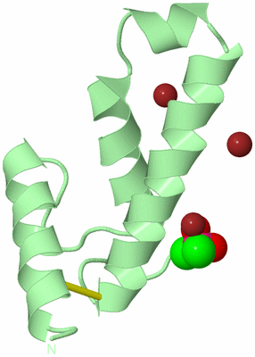 Image Biological Unit 2